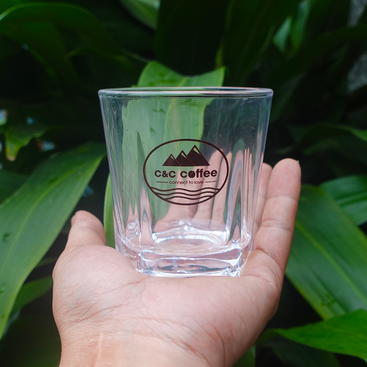 Bộ ly thủy tinh cao cấp 5 cạnh 215ml